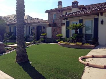 Artificial Grass Photos: Synthetic Pet Turf Newport Beach California Back and Front Yard